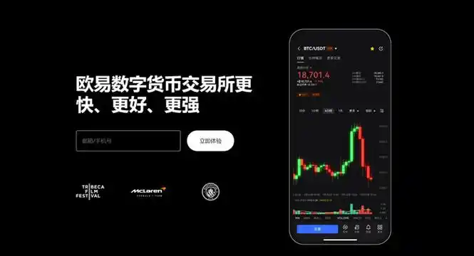 GOpay官网下载平台展示图